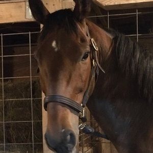 Meet your Posher, Chelsey